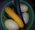 courges_courgettes_271.JPG